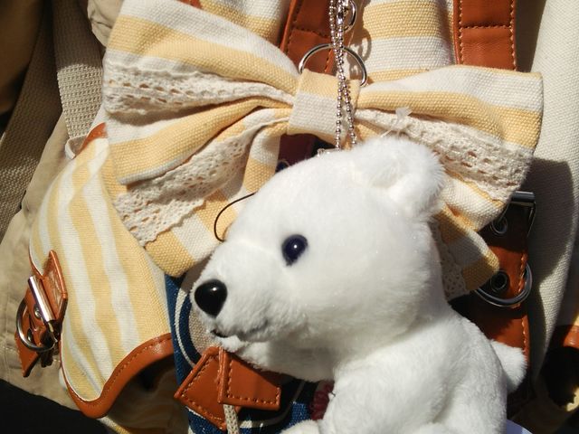 �V���N�}�O�b�Y���w��_�~�R������