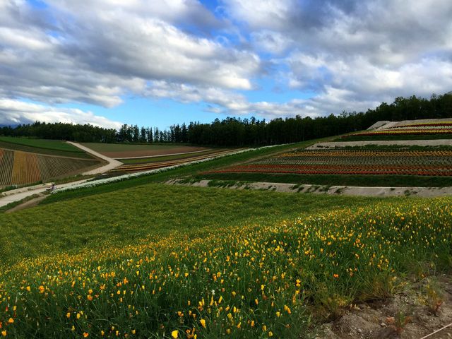 2015�N7��15���B�e_�l�G�ʂ̋u