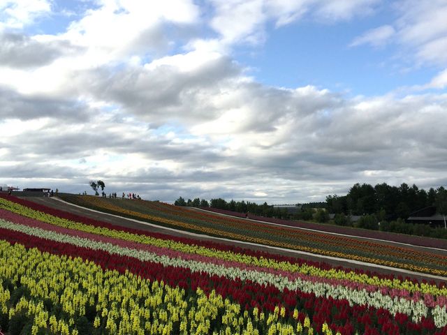 2015�N7��15���B�e_�l�G�ʂ̋u