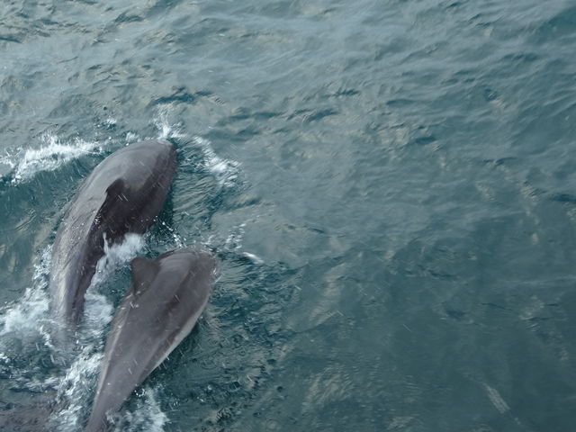 �C���J�̎B�e�͓���ł�_�C���J�E�H�b�`���O�i���̉w �V���s�C���J�Z���^�[�j