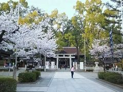 参道と堀の桜が見事です 武田神社の桜の口コミ じゃらんnet