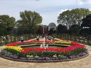 哇̍`̌u [YK[f̓eʐ^1