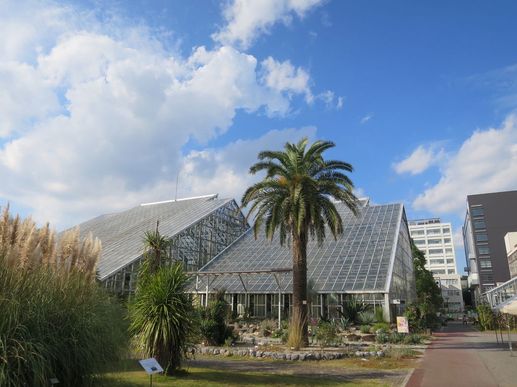 筑波実験植物園