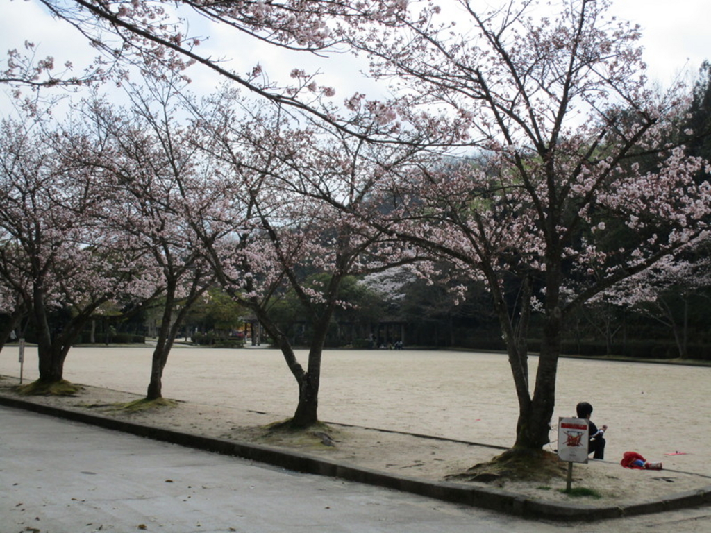 東広島市の公園 庭園ランキングtop6 じゃらんnet