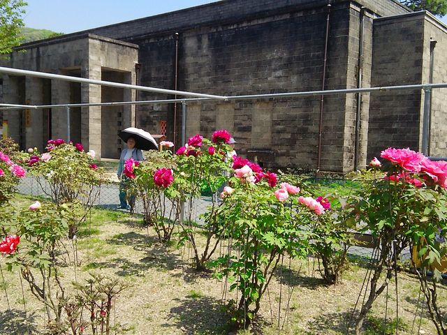 ���O��������Ê�_�⍑���Ê�