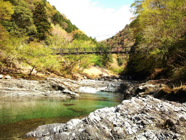 ����X�̒��̐�_���쉷��