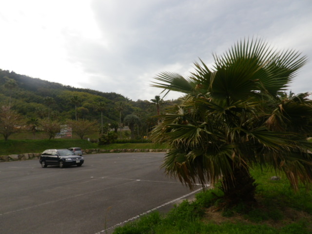 �ГY���l�C�l�������ԏ�_�ГY���l�C������