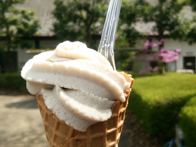 ��H�����u�����΂��v���΃\�t�g_�[�₯���₯�ӂꂠ���̗�