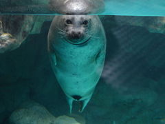 アクアワールド茨城県大洗水族館の写真一覧 じゃらんnet