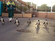 Ђ낳̉lEiV[p_CX@ANA][c̓eʐ^2