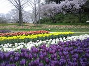 Ȃ̂͂܂܂t[p[N̓eʐ^1