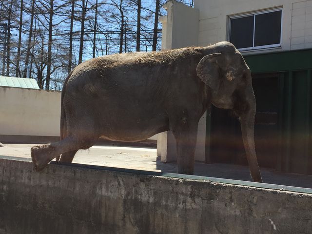 �C���h�]�E�̃i�i�����_���тЂ듮����