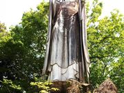 �Ђ낿��񂳂�̑基���̓��e�ʐ^1