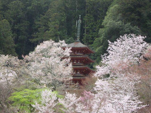 ���J���܏d��_���J��