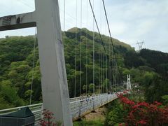 �j�[����̏��X�J�C�u���b�W�ւ̓��e�ʐ^1