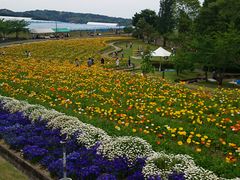 kiyochanさんの富田林市農業公園（サバーファーム）への投稿写真1