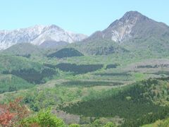 񂿂񂳂̑Rւ̓eʐ^1