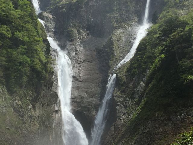 12�F00���A���ʂ���B�e�B���Ȃ�G���B�����̖���A�E���n���m�L��B_�̖���