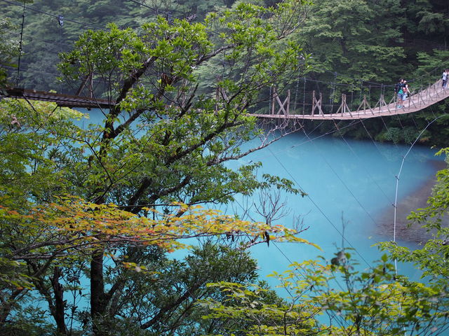 �݂苴_������