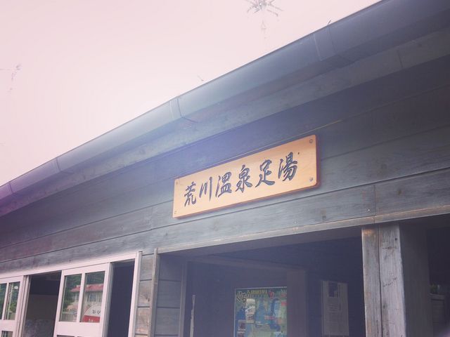 nori����̍r�쉷�򑫓��̓��e�ʐ^1