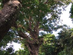 eri̎񗢋钬̑AJMւ̓eʐ^1