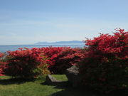 yosshy̌bRccW̓eʐ^1