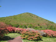 yosshy̌bRccW̓eʐ^2