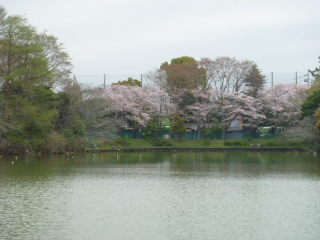 gV[̓X͗Βnޒr̓eʐ^1