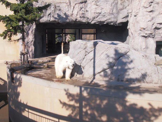 �����܂�������C�ɂ��낤��_���R������