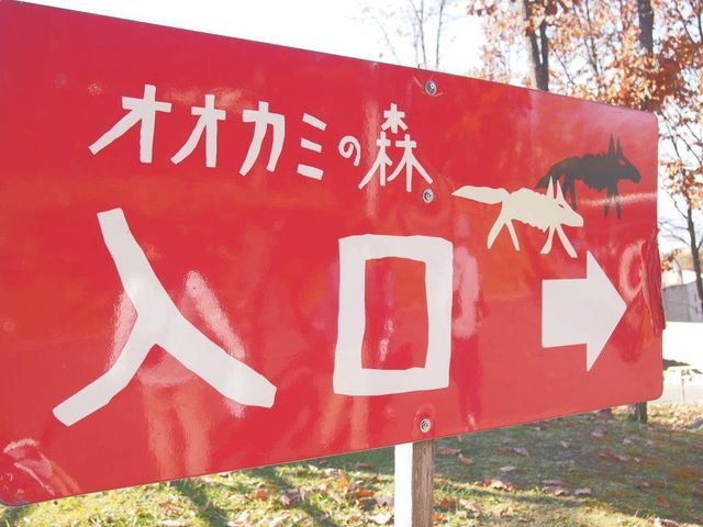 �I�I�J�~���Ďv������茢�ł�_���R������