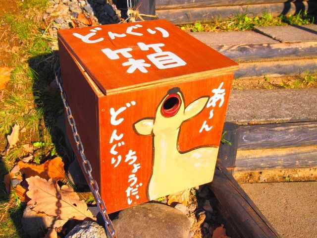 ���Ԃ�a�ɂȂ�񂾂Ǝv��_���R������