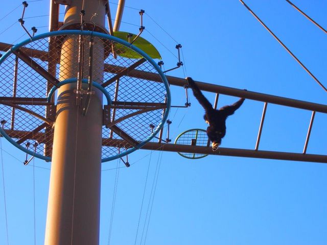 �g�y���������܂����c_���R������