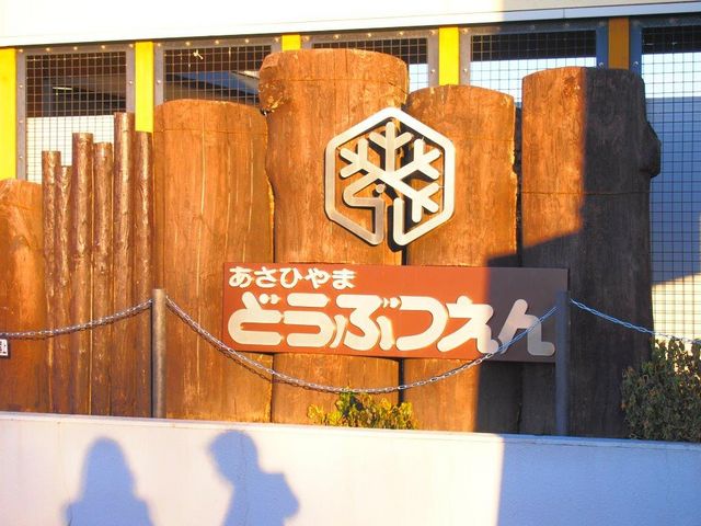 ���R�ǂ��Ԃ���_���R������