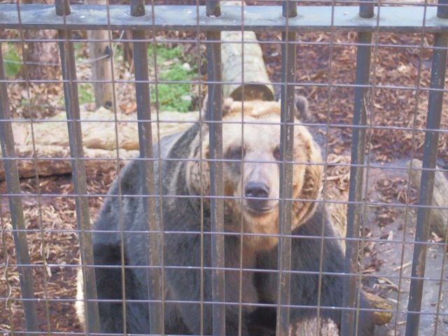 �U�E����_���R������