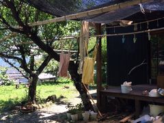 Ђ肳̃ACAJlH[ւ̓eʐ^1