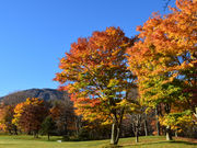 ̂肿񂳂̈䍂̓eʐ^1