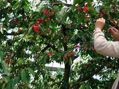 natsuyuna2̂V̌_ւ̓eʐ^1