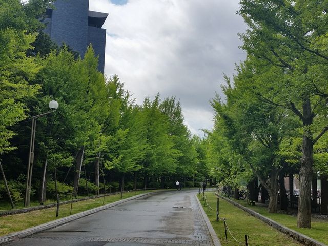 �ΖL���ȉ���_��������