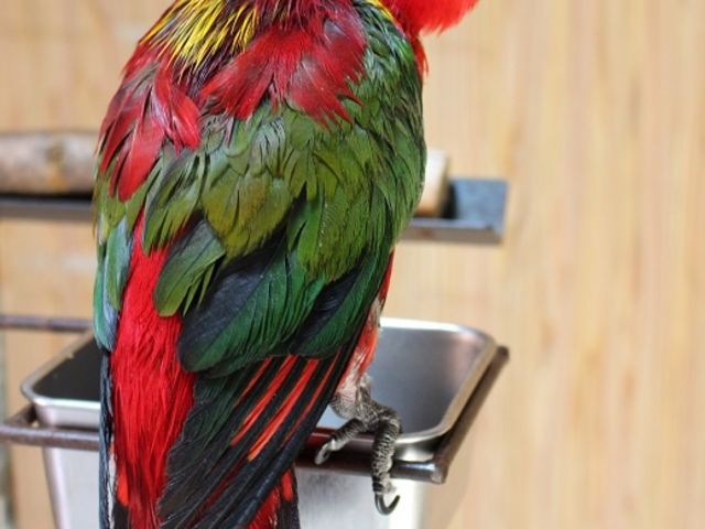 `˂ނIĂׂ肵܂_ߐ{[hL[p[N