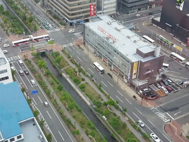 �W�]�䂩��̒��]_�����ۂ�e���r��