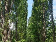 ͂܂肳̖k|v؂ւ̓eʐ^1