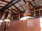 ͂邳̃jbJEXL[H@{鋬̓eʐ^1