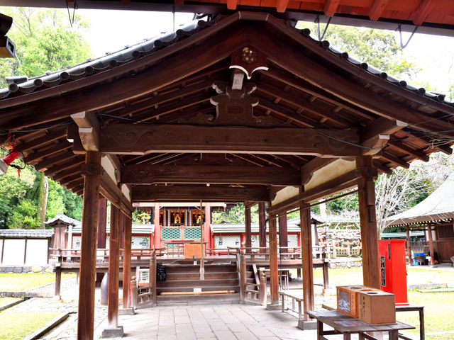 �䂸���҂���̕X���_�Ђ̓��e�ʐ^2