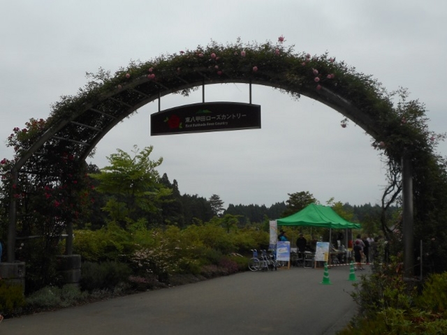 �����̒��ԏꂪ������e�ɂ���܂����B_�����b�c���[�Y�J���g���[