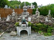 �g�N�T������̓񑸉@�i�R��������s�j�̓��e�ʐ^5