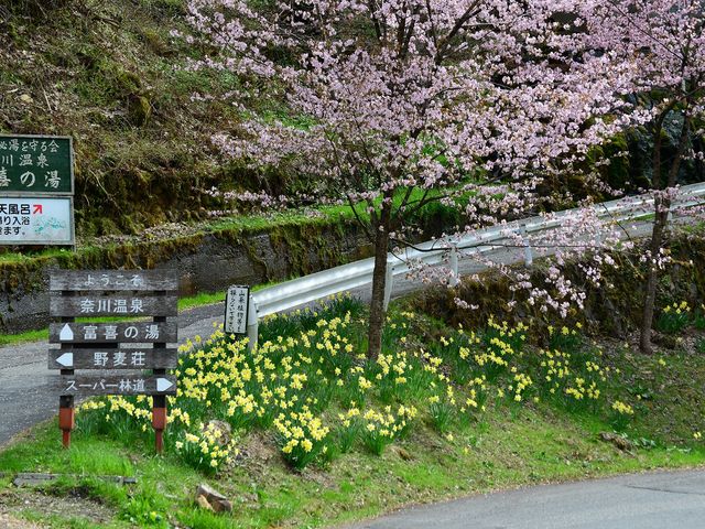 2013.5.3_�ސ쉷��