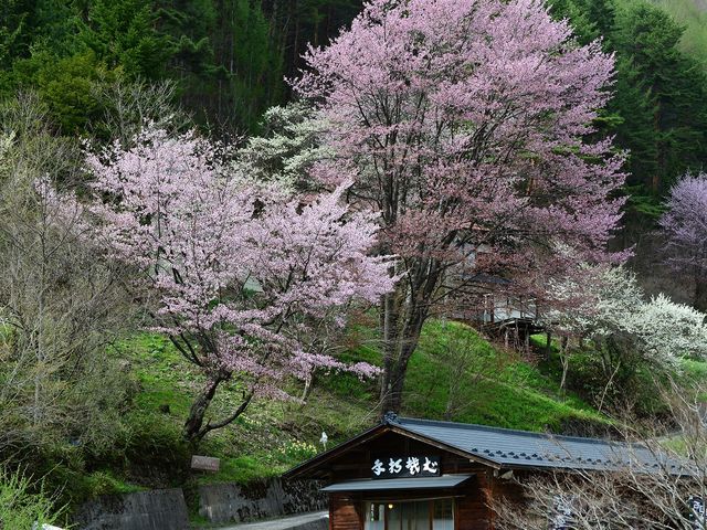 2013.5.3_�ސ쉷��