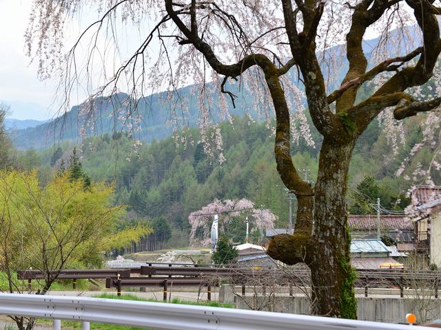 2013.5.3_�ސ쉷��