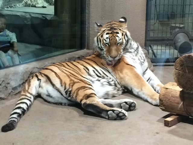 �g���̃A�C�����ł��B_�~�R������