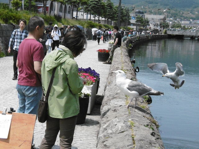 �G�T�����ƃJ����������͗����_�^�͂ƐΑ��q�ɌQ